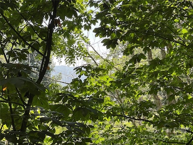 TBD Fletcher Branch Rd, Vilas, NC 28692 - photo 3