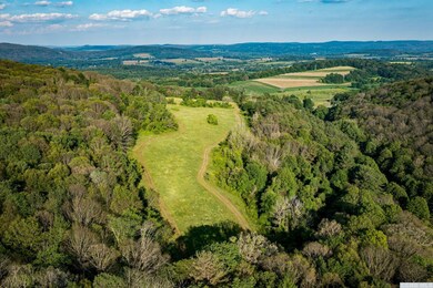 926 Old Route 22, Millerton, NY 12546 - photo 6