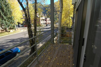311 S Aspen St unit 6, Aspen, CO 81611 - photo 4