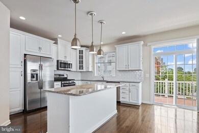 23393 Carters Meadow Terrace, Ashburn, VA 20148 - photo 7