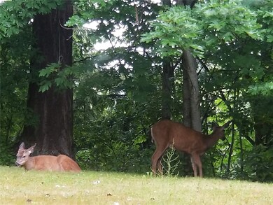 0 Mountain Loop Hwy unit NWM1970537, Granite Falls, WA 98252 - photo 3