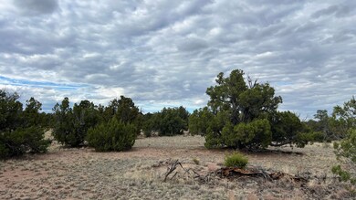 0 Squaw Pass unit 24661344, Quemado, NM 87829 - photo 3