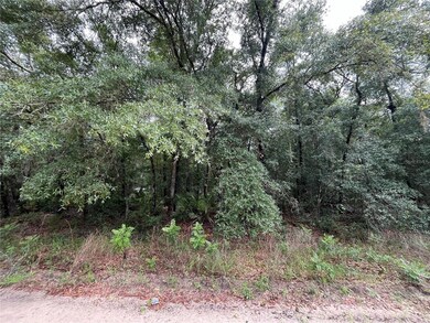 TBD Rintz St, Interlachen, FL 32148 - photo 6