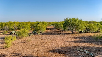 Cr 331 E, Jourdanton, TX 78026 - photo 5