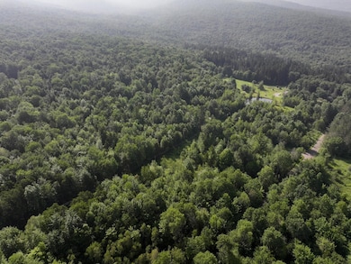 0 Amidon Rd, Montgomery, VT 05471 - photo 3