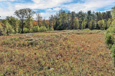 44 Williams Hill Rd, Grafton, NH 03240 - photo 4