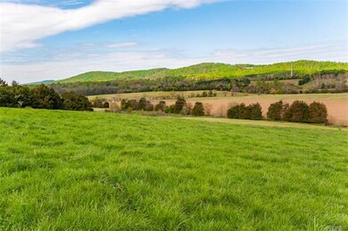 TBD Madison Run Rd, Thornhill, VA 22960 - photo 5