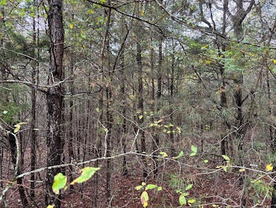 3 Countryside Dr, Dunlap, TN 37327 - photo 3