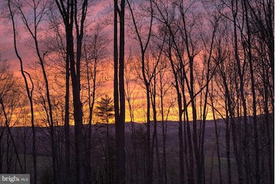 181 Timberland Manor Dr, Bentonville, VA 22610 - photo 2