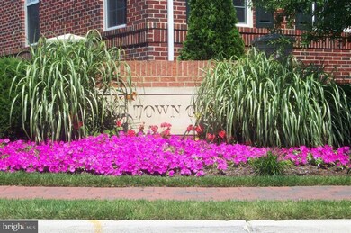 721 Massey Ln unit A, Alexandria, VA 22314 - photo 5