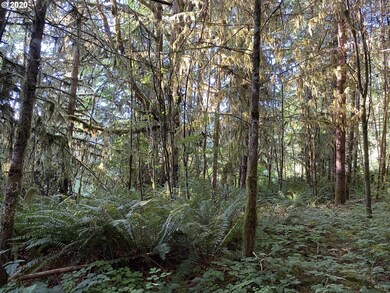 0 Germany Creek Rd unit 20119868, Longview, WA 98632 - photo 6