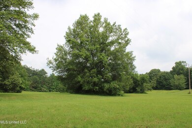 IMG_1317
