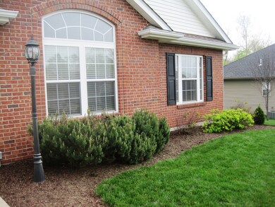 Landscaping along the front