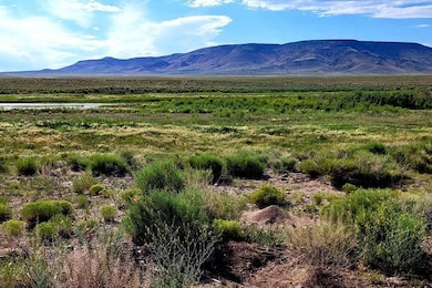 Lot 884 Rio Grande River, Mesita, CO 81152 - photo 3