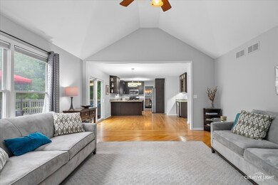 1131 Thackery Ln unit 6, Naperville, IL 60564 - photo 5