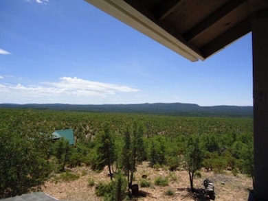 161 E Coues Deer Ln, Payson, AZ 85541 - photo 6