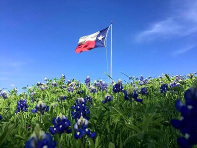 16007 Faircrest Dr, Whitney, TX 76692 - photo 6