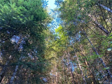 0 Germany Creek Rd unit 1635470, Longview, WA 98632 - photo 4