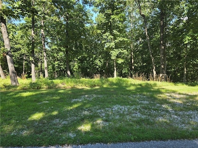 Lot 11 Esculapia Hollow Rd, Rogers, AR 72758 - photo 3