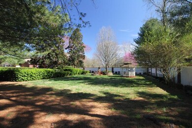 Park like back yard area