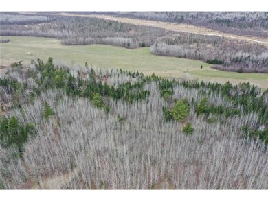 DJI_0220