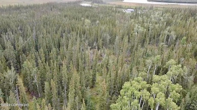 1327.6 B5 Alaska Hwy, Tok, AK 99780 - photo 7