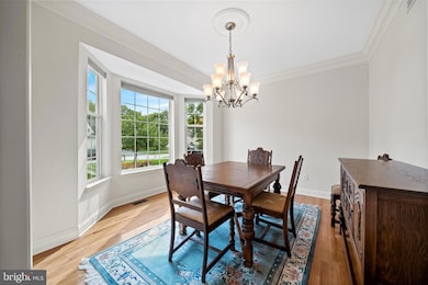 37 Palo Ln, Newark, DE 19702 - photo 5