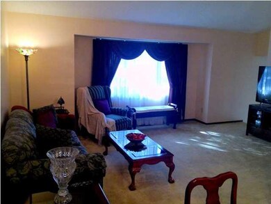 Formal Living Room New Windows
