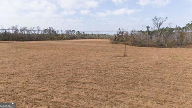 0 Old Graham Rd unit 10649506, Hazlehurst, GA 31539 - photo 6