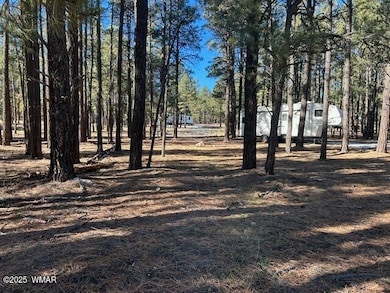 0 Cr N2121, Alpine, AZ 85920 - photo 5