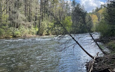 0 Rock Creek Cir unit 320900, Blue Ridge, GA 30513 - photo 2