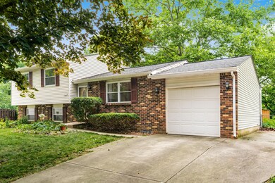 R_5173_Rasberry_Bush_Court__130