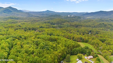 dji_20250930144809_0212_d