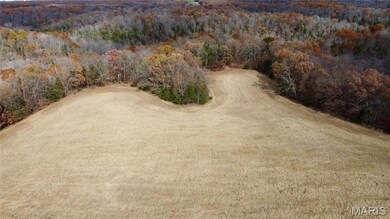 Tract 3 Polston Ln, Hickory Grove Township, MO 63357 - photo 4