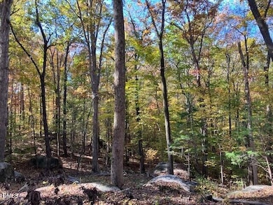 9 Buttonwood Ln, Roxboro, NC 27574 - photo 5