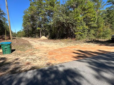 Parcel A Bear Head Rd, Crestview, FL 32539 - photo 6