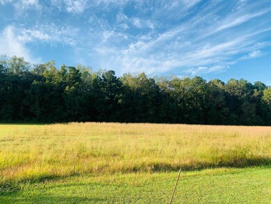 TBD Turkey Run, Havana, FL 32333 - photo 3