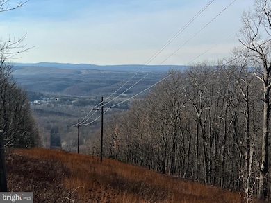 92 Bobcat Trail, Winchester, VA 22602 - photo 3