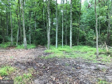 0 Cepp Rd unit 1002144190, Perkiomenville, PA 18074 - photo 5