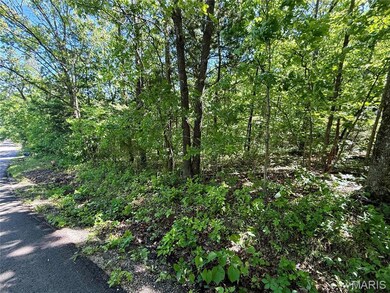 0 Cyclone Rd, Union Township, MO 63630 - photo 5