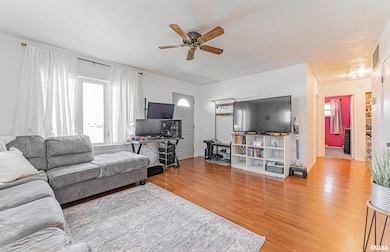 213 Nugent Place, Lincoln, IL 62656 - photo 5