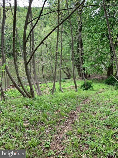 1533 Constant Run Rd, Great Cacapon, WV 25422 - photo 5