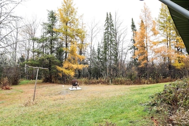 7839 Stromberg Rd, Embarrass, MN 55732 - photo 5