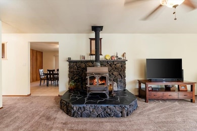 4319 Pioneer Way, Dunsmuir, CA 96025 - photo 7