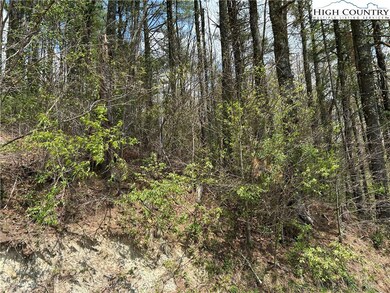 TBD New River Overlook (Lot 11), West Jefferson, NC 28694 - photo 5