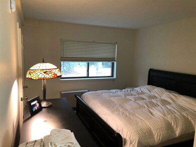 4 Tripyramid Way unit 3, Waterville Valley, NH 03215 - photo 3