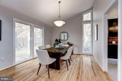 8613 Carlynn Dr, Bethesda, MD 20817 - photo 7