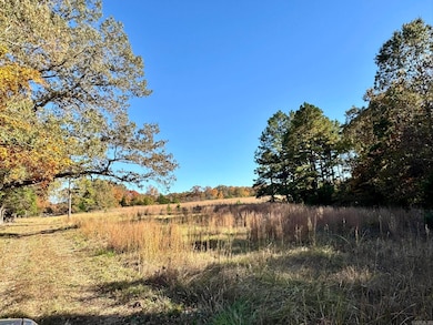 150 Holloway Ln, Greenbrier, AR 72058 - photo 5