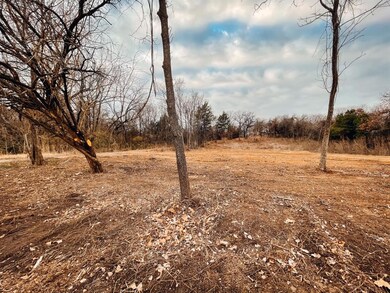 1119 S Chandler Ave, Denison, TX 75020 - photo 3