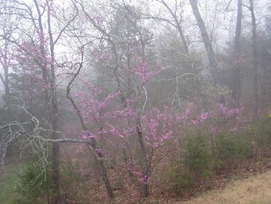 Tbd Cherokee Dr, Ruth B Rural Township, MO 65686 - photo 2